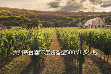 貴州茅臺酒53度醬香型500ML多少錢