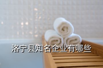 洛寧縣知名企業(yè)有哪些