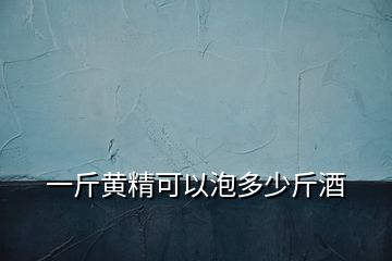 一斤黃精可以泡多少斤酒