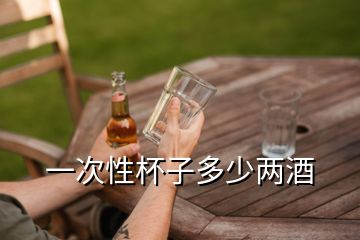 一次性杯子多少兩酒