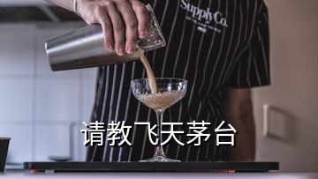 請教飛天茅臺