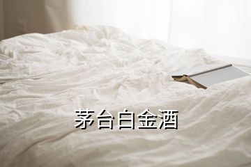 茅臺(tái)白金酒