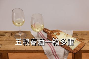 五糧春酒一箱多重