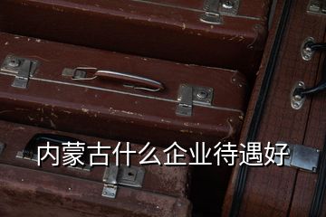 內(nèi)蒙古什么企業(yè)待遇好