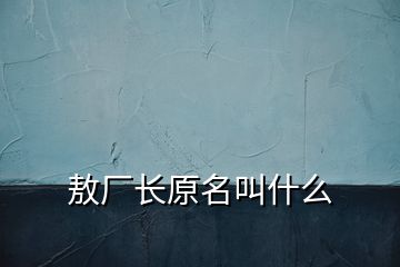 敖廠長原名叫什么