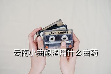 云南小曲釀酒用什么曲藥