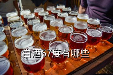 白酒67度有哪些