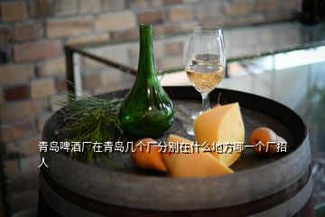 青島啤酒廠在青島幾個(gè)廠分別在什么地方哪一個(gè)廠招人