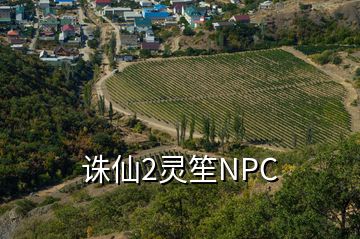 誅仙2靈笙NPC