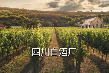 四川白酒廠