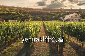 yenirakl什么酒