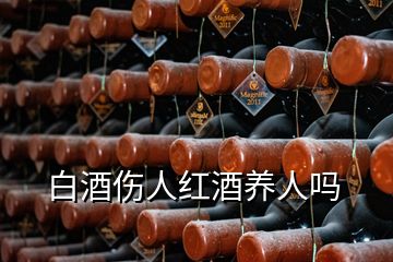 白酒傷人紅酒養(yǎng)人嗎