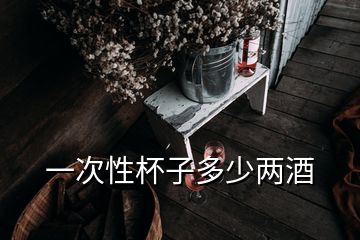 一次性杯子多少兩酒