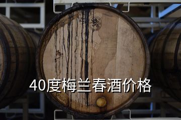 40度梅蘭春酒價格