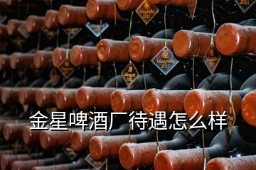 金星啤酒廠待遇怎么樣