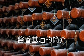 醬香基酒的簡(jiǎn)介