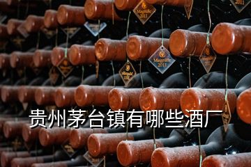 貴州茅臺(tái)鎮(zhèn)有哪些酒廠