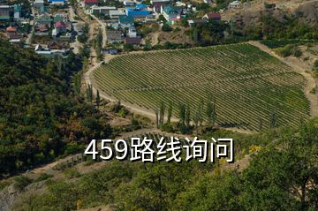 459路線詢問