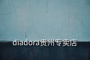 diadora貴州專賣店