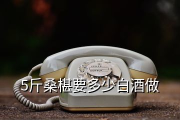 5斤桑椹要多少白酒做