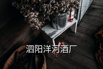 泗陽(yáng)洋河酒廠