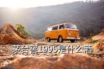 茅臺(tái)窖1995是什么酒