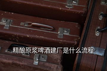 精釀原漿啤酒建廠是什么流程