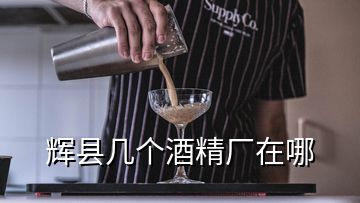 輝縣幾個(gè)酒精廠在哪