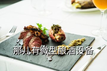 那兒有微型釀酒設(shè)備