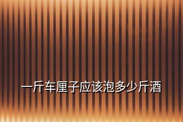 一斤車?yán)遄討?yīng)該泡多少斤酒