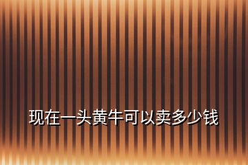 現(xiàn)在一頭黃?？梢再u多少錢