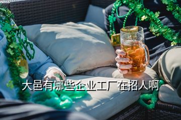 大邑有哪些企業(yè)工廠在招人啊