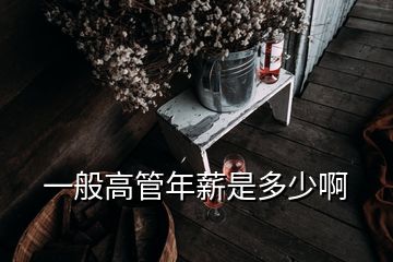 一般高管年薪是多少啊