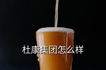 杜康集團(tuán)怎么樣