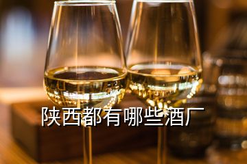 陜西都有哪些酒廠