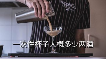 一次性杯子大概多少兩酒