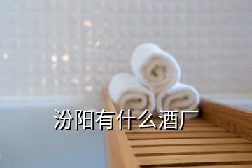 汾陽(yáng)有什么酒廠