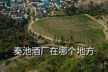 秦池酒廠在哪個地方