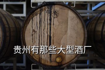 貴州有那些大型酒廠