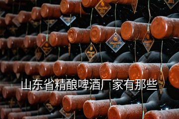 山東省精釀啤酒廠家有那些