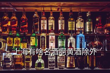 上海有啥名酒啊黃酒除外