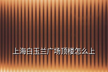 上海白玉蘭廣場頂樓怎么上