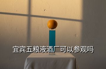 宜賓五糧液酒廠可以參觀嗎