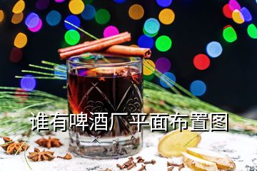 誰有啤酒廠平面布置圖