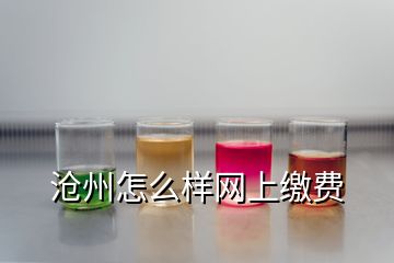 滄州怎么樣網(wǎng)上繳費(fèi)