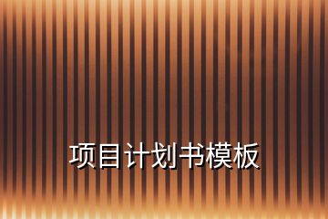 項(xiàng)目計(jì)劃書(shū)模板