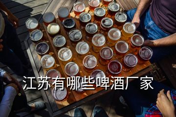 江蘇有哪些啤酒廠家