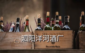 泗陽洋河酒廠