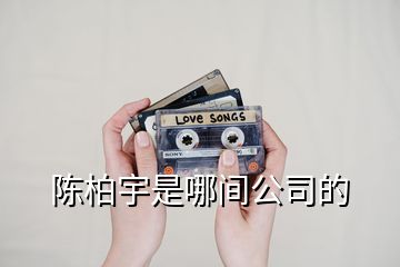 陳柏宇是哪間公司的