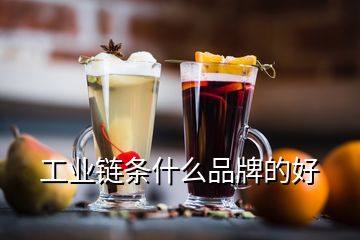 工業(yè)鏈條什么品牌的好